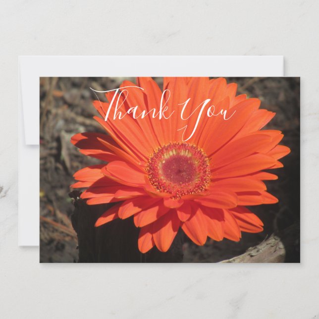 Orange Daisy Floral Foto Dankeskarte (Vorderseite)