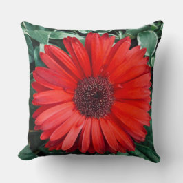 Orange Daisy Glockenkissen Kissen