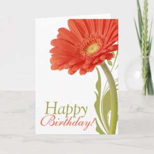 Orange Daisy Happy Birthday Card Blank Innen Karte
