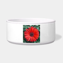 Orange Daisy Keramik Pet Bowl Napf