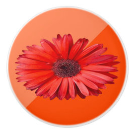 Orange Daisy Keramik Pull Keramikknauf