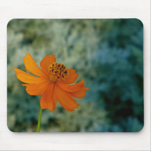 Orange Daisy Mousepad