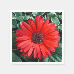 Orange Daisy napkins Serviette