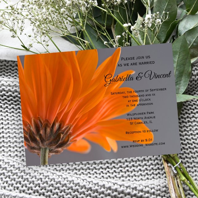 Orange Daisy on Gray Wedding Einladung (Invite guests to your garden marriage with the pretty Orange Daisy on Gray Wedding Invitation.)