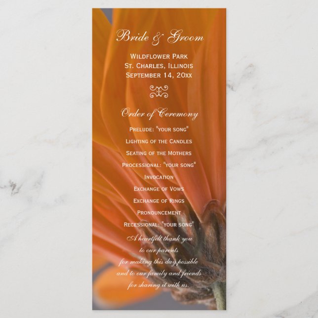 Orange Daisy on Gray Wedding Program Programm (Vorderseite)