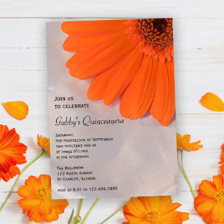 Orange Daisy über die Party Einladung von Satin Qu
