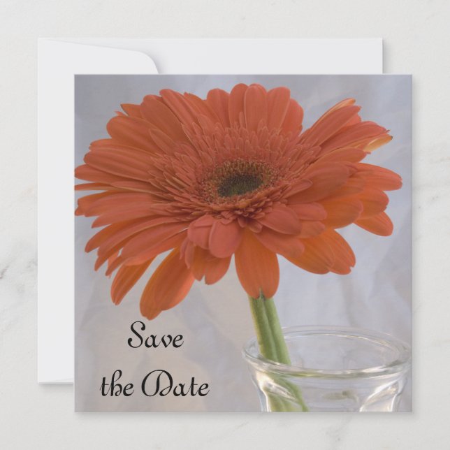 Orange Daisy Wedding Save the Date Announction (Vorderseite)