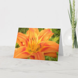 Orange Day Lily zur Brille Ihrer Weltkarte Dankeskarte