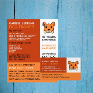 Orange Dog, Hundetrainer Werbung Flyer