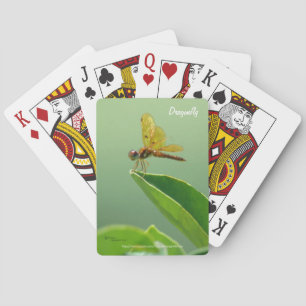 Orange Dragonfly Bicycle® Spielkarten