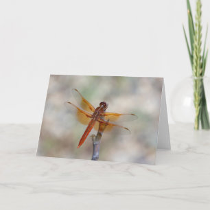 Orange Dragonfly-Blank-Karte