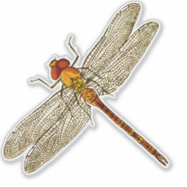 Orange Dragonfly Contour Aufkleber