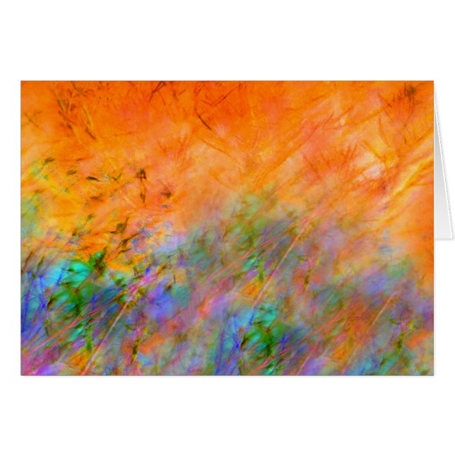 Orange Dreamscape (Vorderseite (Horizontal))