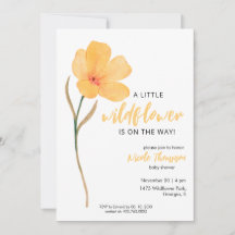 Orange Ein Kleiner Wildblume Auf Dem Weg Baby Show