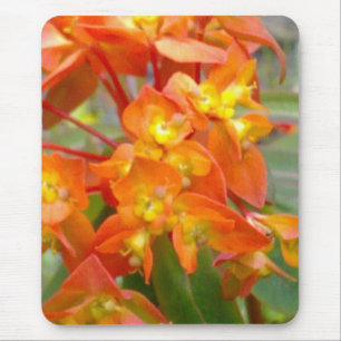Orange Euphorbiengummi Mousepad