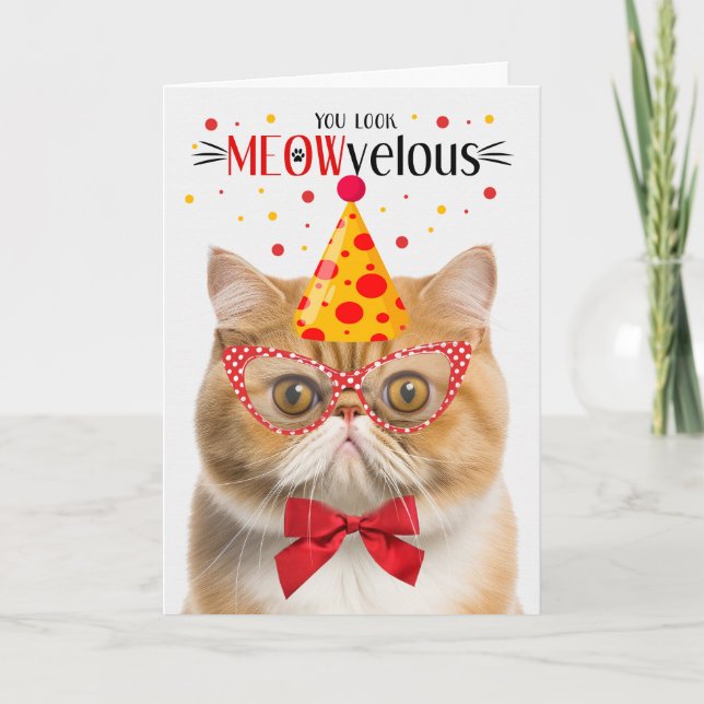 Orange Exotic Shorthair Cat MEOWvelous Birthday Karte (Vorderseite)