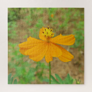 orange,exotisch, floral, Blüte, Natur, Hintergrund Puzzle