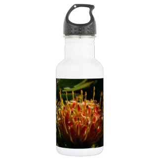 ORANGE EXOTISCHE KAKTUS-BLUME TRINKFLASCHE