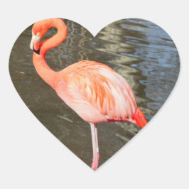 Orange Flamingo Foto Herz-Aufkleber