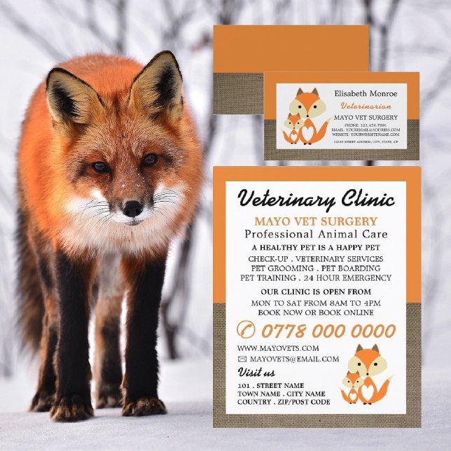 Orange Fox, Tierarzt, Veterinärdienst Flyer (Von Creator hochgeladen)