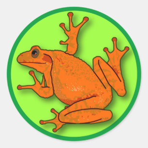 Orange Frosch Sticker