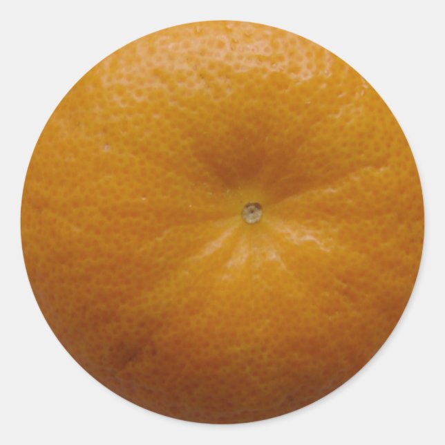 Orange Fruchtaufkleber Runder Aufkleber (Vorderseite)