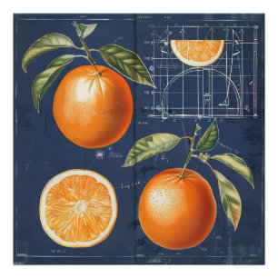 Orange Fruit Blueprint Fotodruck