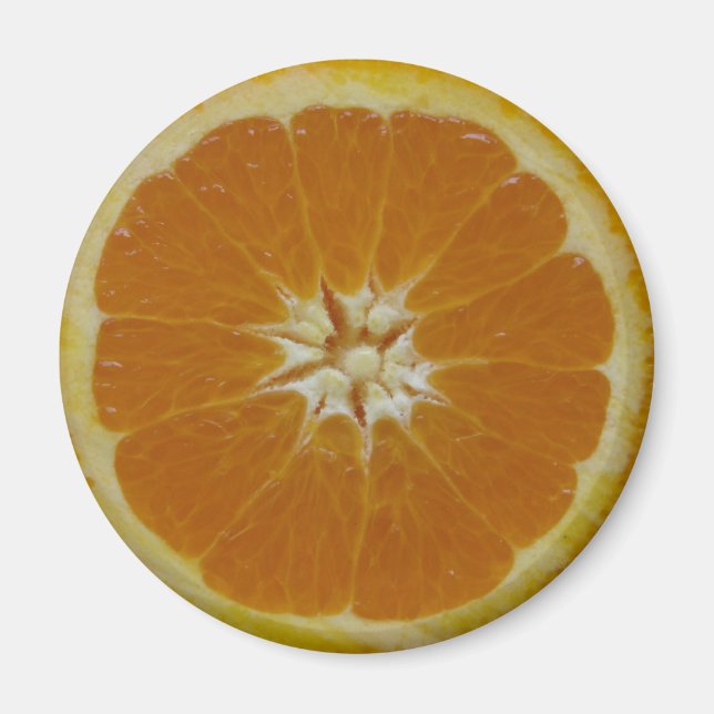 Orange Fruit Slice Magnet (Vorne)