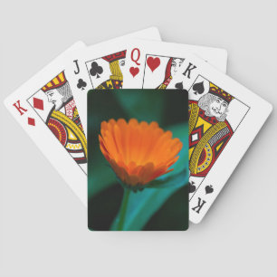 Orange Gänseblümchen-Blumenfotografie Spielkarten