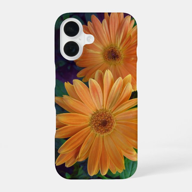 Orange Gänseblümchen iPhone 16 Hülle (Rückseite)