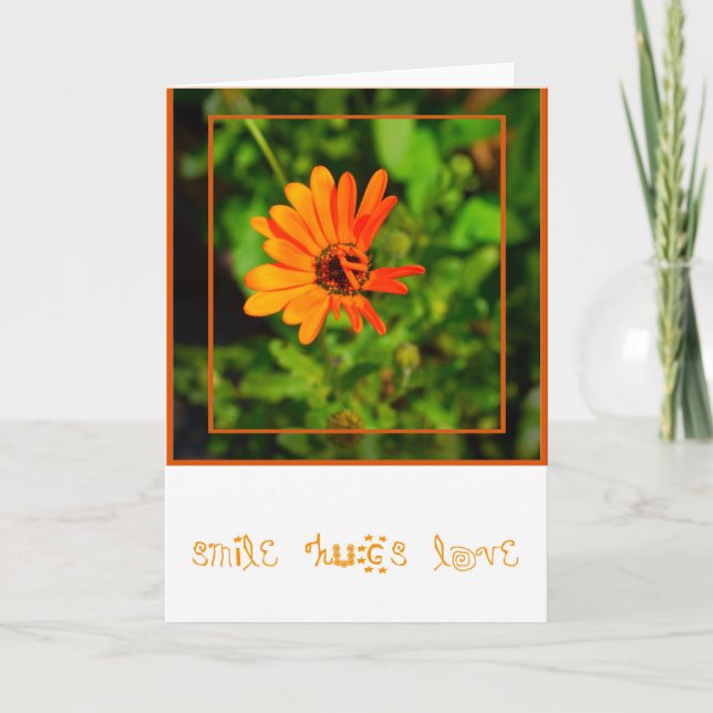 Orange Gänseblümchen-KARTE Karte (Vorderseite)