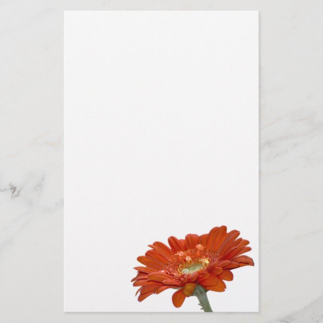 Orange Gänseblümchengerbera-Blume Briefpapier (Vorderseite)