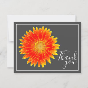 Orange Gänseblume mit grauem Hintergrund Dankeschö Postkarte