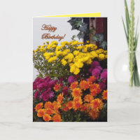 Orange, gelbe und rosa Mamas, alles Gute zum