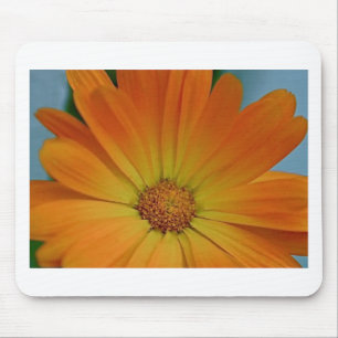 Orange Gerber Daisy Mousepad