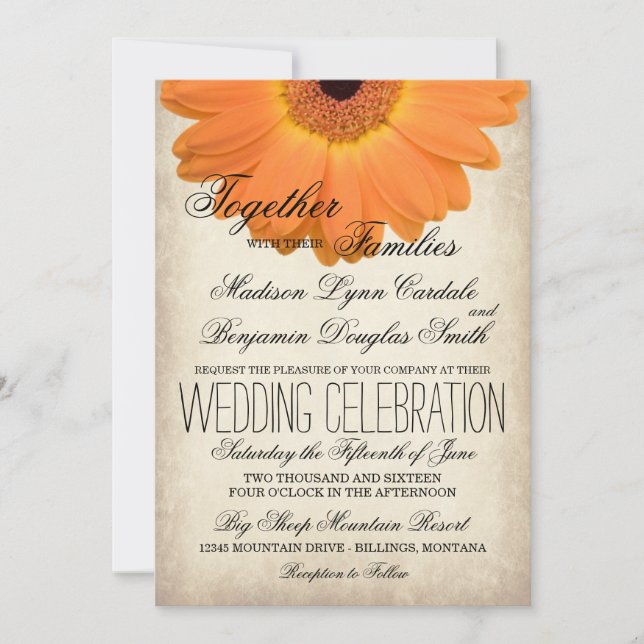 Orange Gerber Daisy Rustic Country Wedites Einladung (Vorderseite)