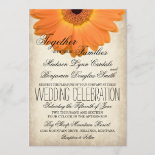 Orange Gerber Daisy Rustic Country Wedites Einladung