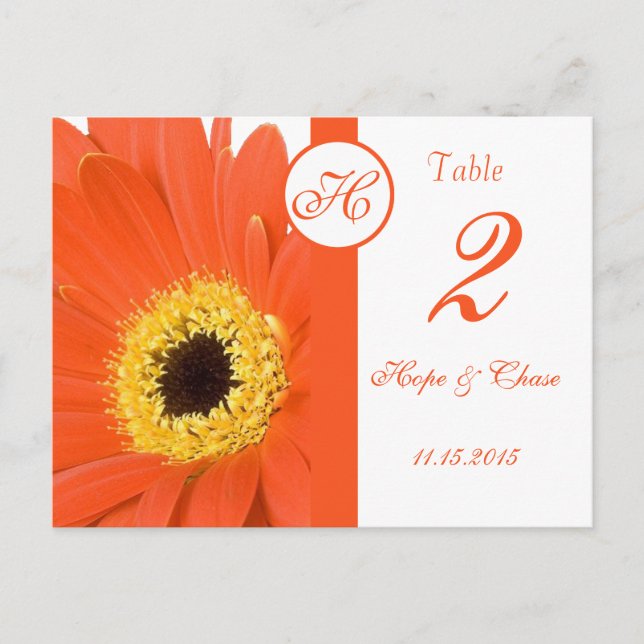 Orange Gerber Daisy Tischnummer Cards (Vorderseite)