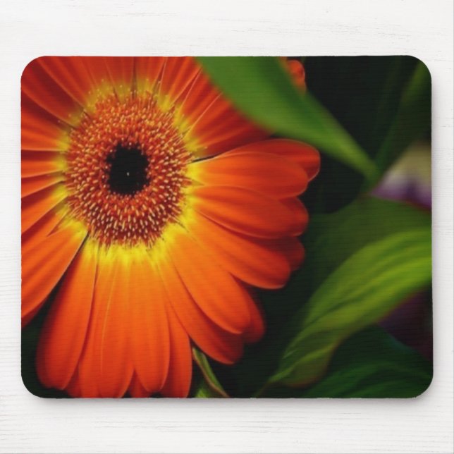 Orange Gerber Gänseblümchen Mousepad (Vorne)