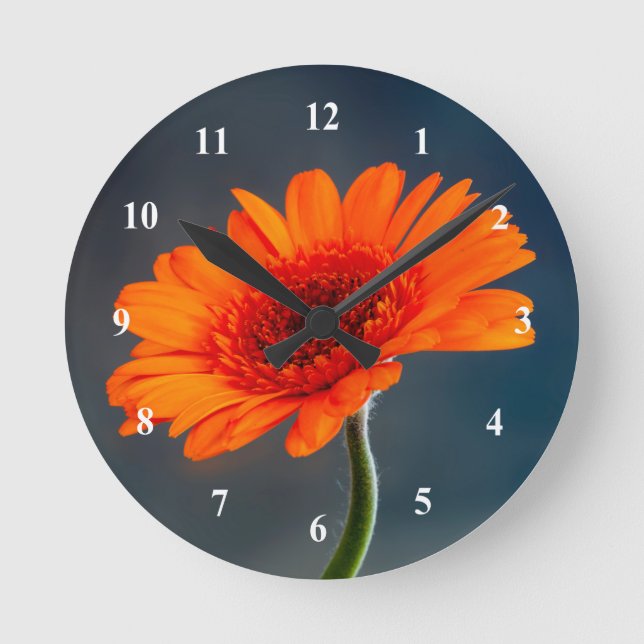 Orange Gerbera Acrylic Wanduhr (Vorderseite)
