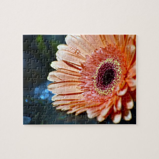 Orange Gerbera Blume Fotograf Puzzle (Horizontal)