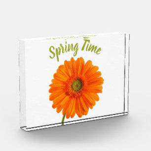 Orange gerbera Blume Frühjahrszeit Foto mit Text