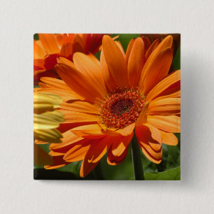 Orange Gerbera Button
