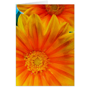 Orange Gerbera-Daisy Digitale Malerei Karte