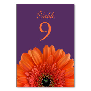 Orange Gerbera Daisy Lila Wedding Tischnummer
