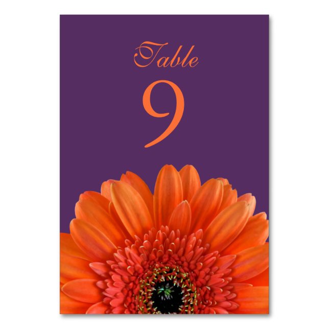 Orange Gerbera Daisy Lila Wedding Tischnummer (Vorderseite)