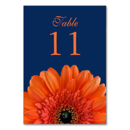 Orange Gerbera Daisy Navy Blue Wedding Tischnummer
