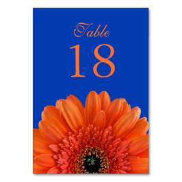 Orange Gerbera Daisy Royal Blue Wedding Tischnummer