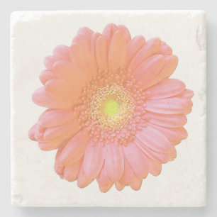 Orange gerbera daisy steinuntersetzer