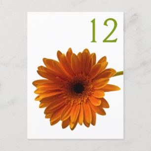Orange Gerbera Daisy Tischnummer Card
